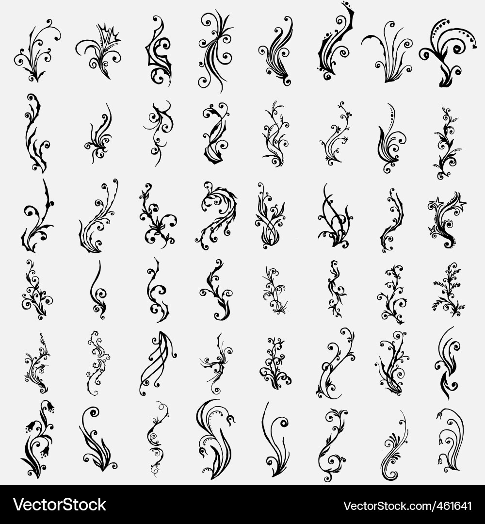 Intricate Floral Swirls vector image