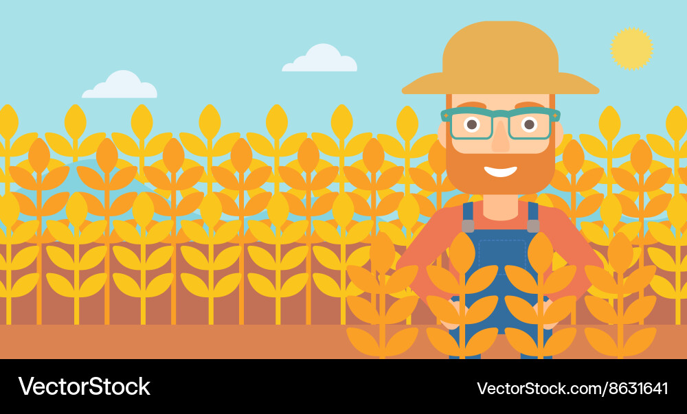 Man in wheat field vector image