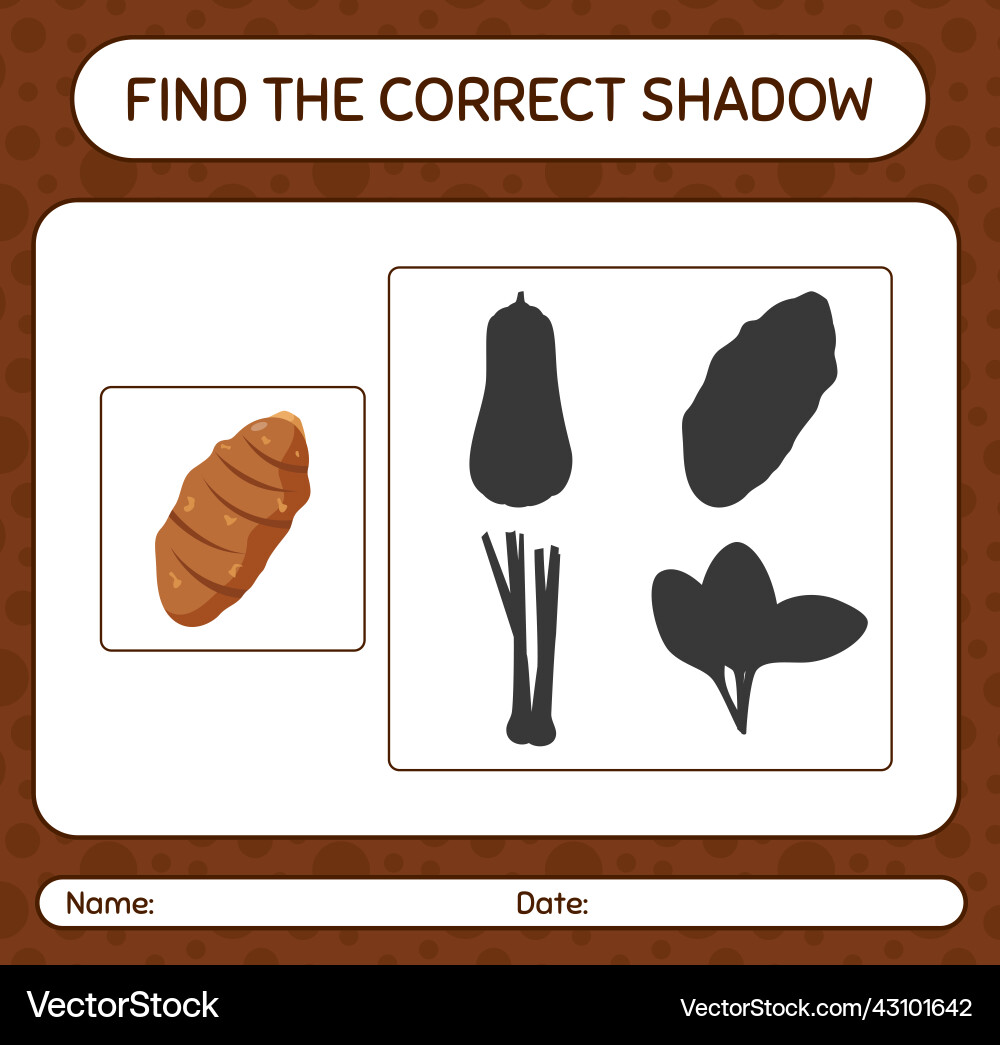 Find the correct shadows game with taro root vector image
