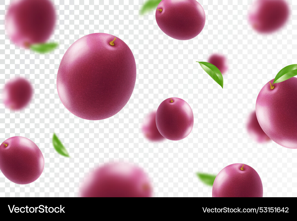 Flying ripe passion fruit bright advertising Vector Image