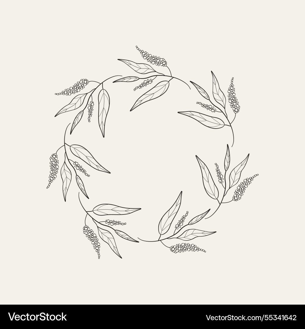 Frame background with black allspice for text vector image