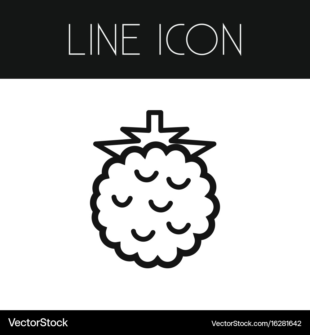 Isolated raspberry outline razz element vector image