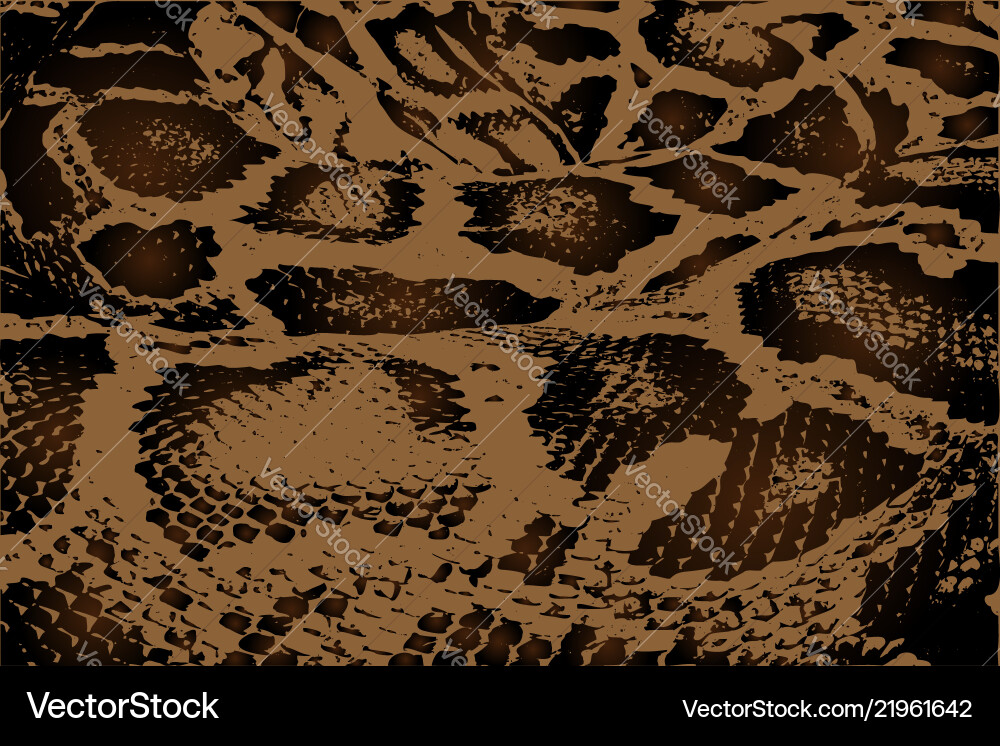 Python Snake Skin Pattern vector image
