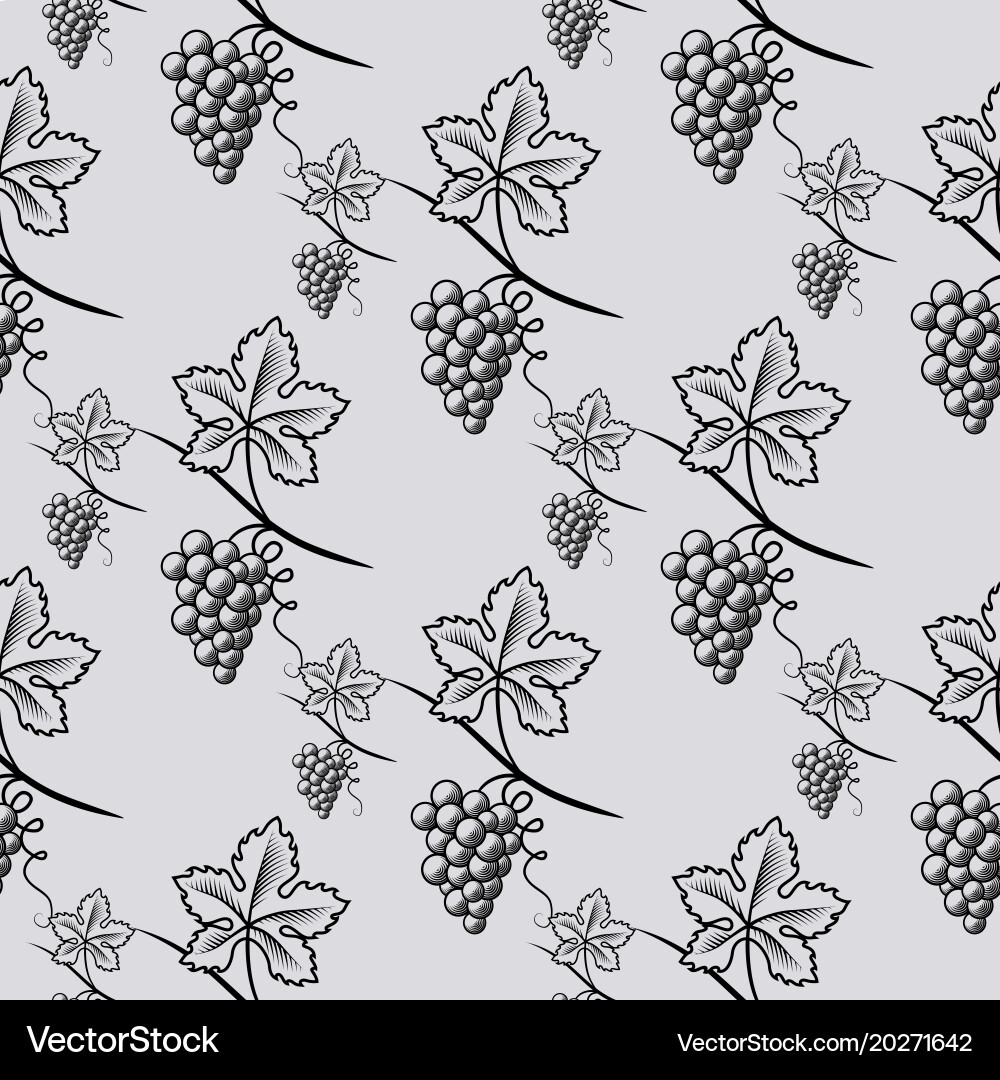 Seamless pattern of grape vector image