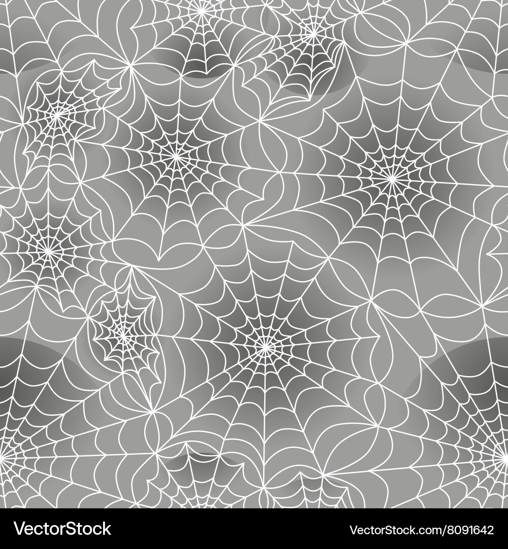Spiders Web Seamless Pattern vector image