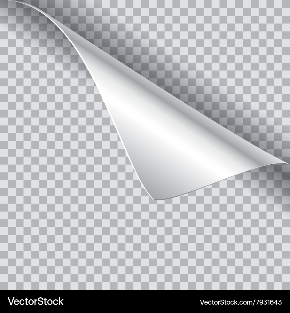 Page Curl with Shadow vector image