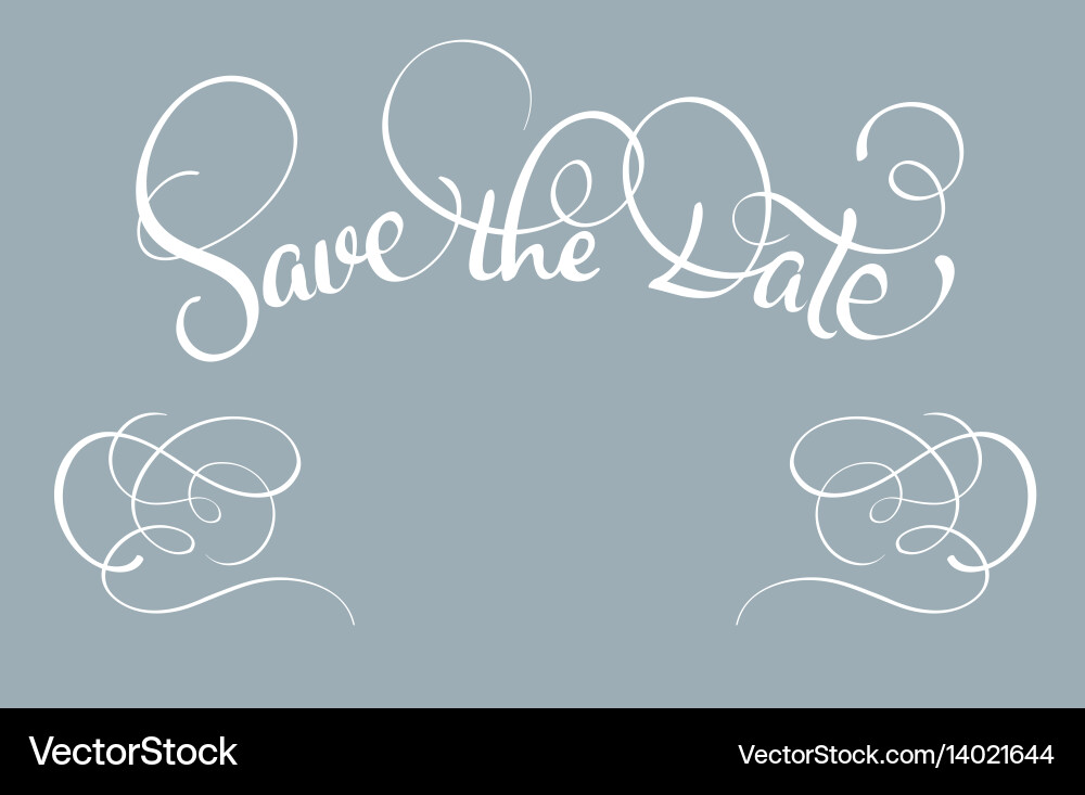 Save the date text on gray background calligraphy vector image