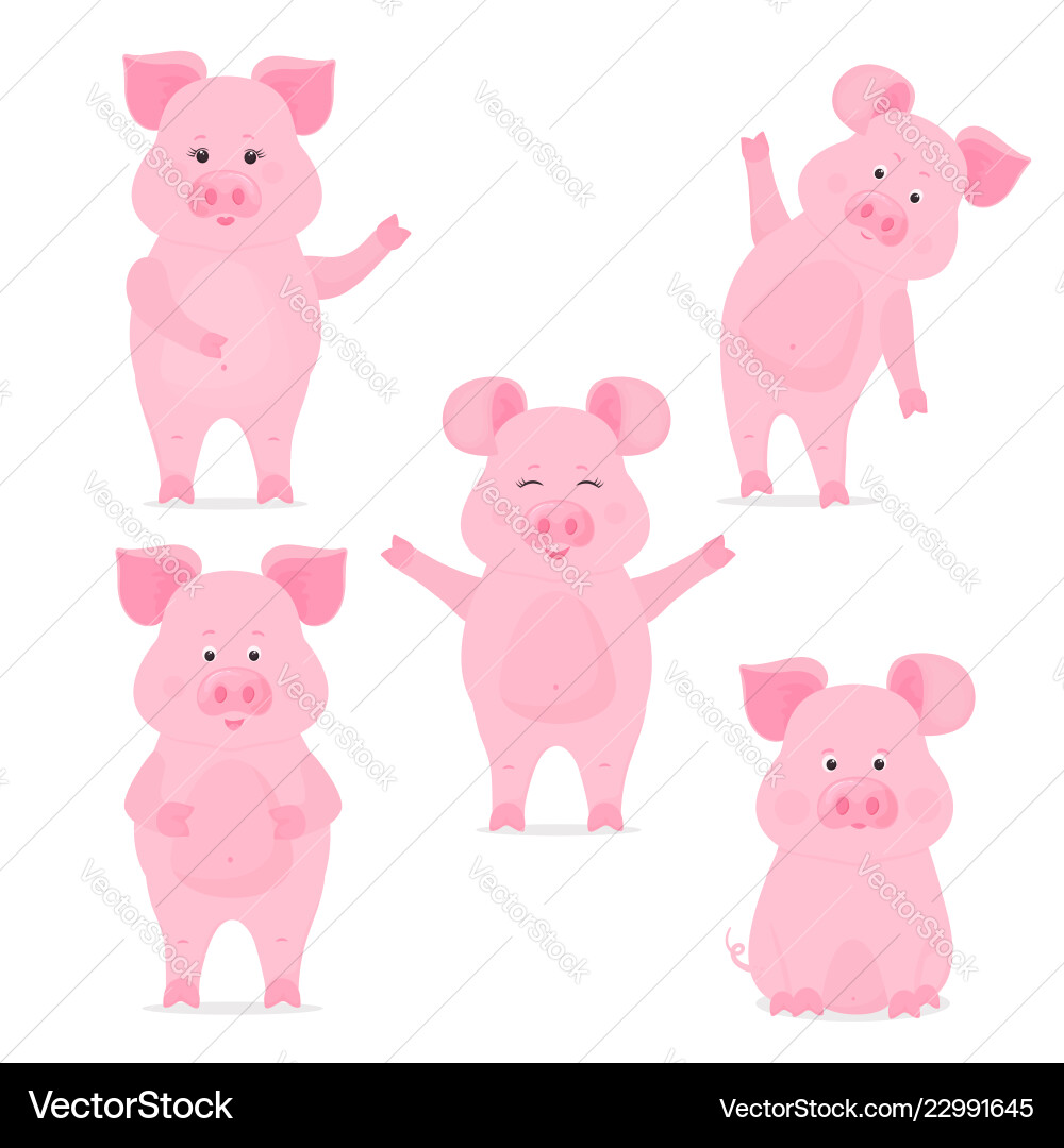 A set of cute piggy characters in different poses vector image