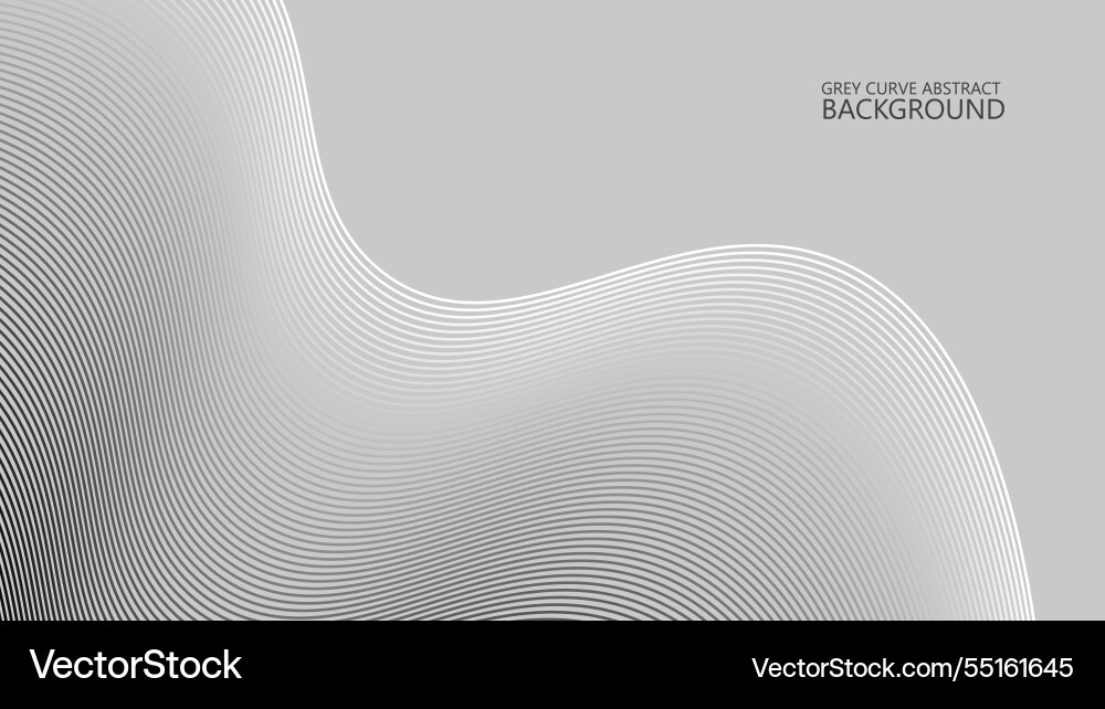Grey abstract with curve stripes lines Vector Image