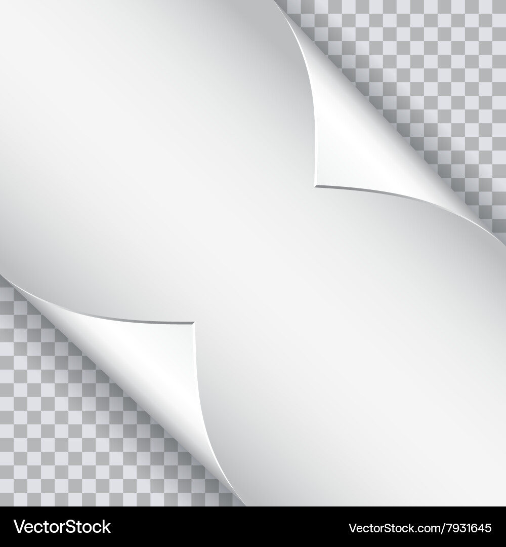 Page curl with shadow on blank sheet of paper vector image