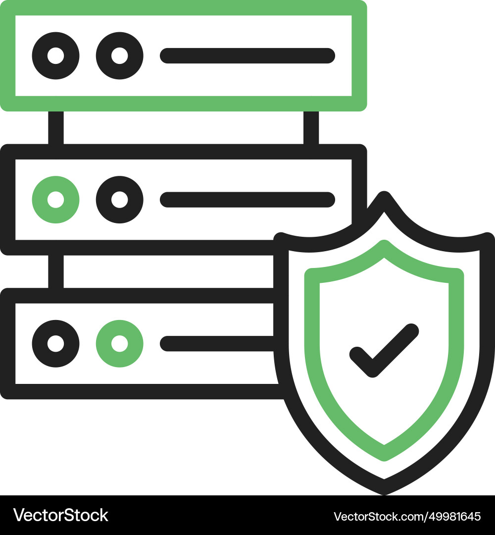 Secure server icon image Vector Image