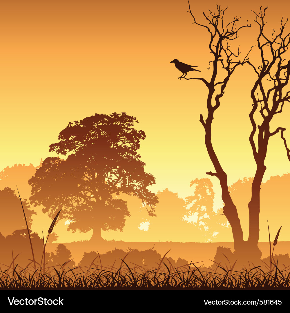 Serene Meadow Landscape vector image