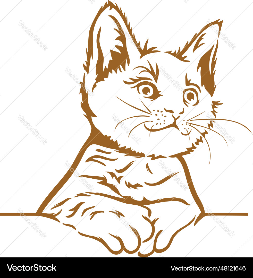 cute-cat-kitten-half-body-printable-stencil-vector-image