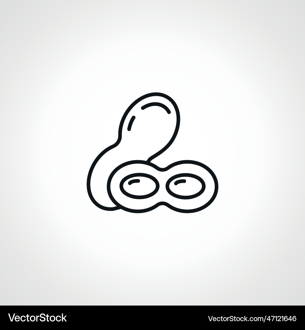 Peanut line icon web linear Peanut line icon web linear Vector Image