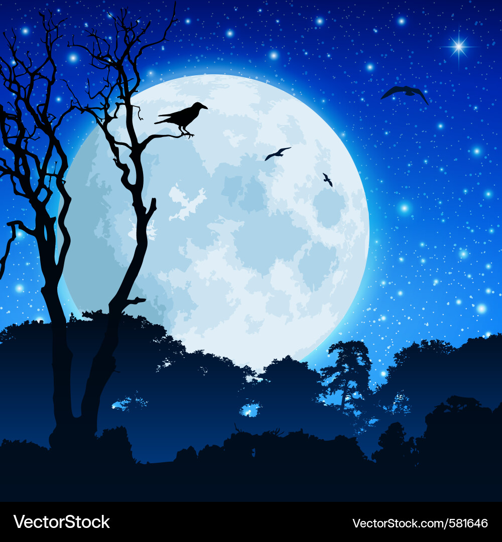 Silhouetted Forest Moonscape vector image