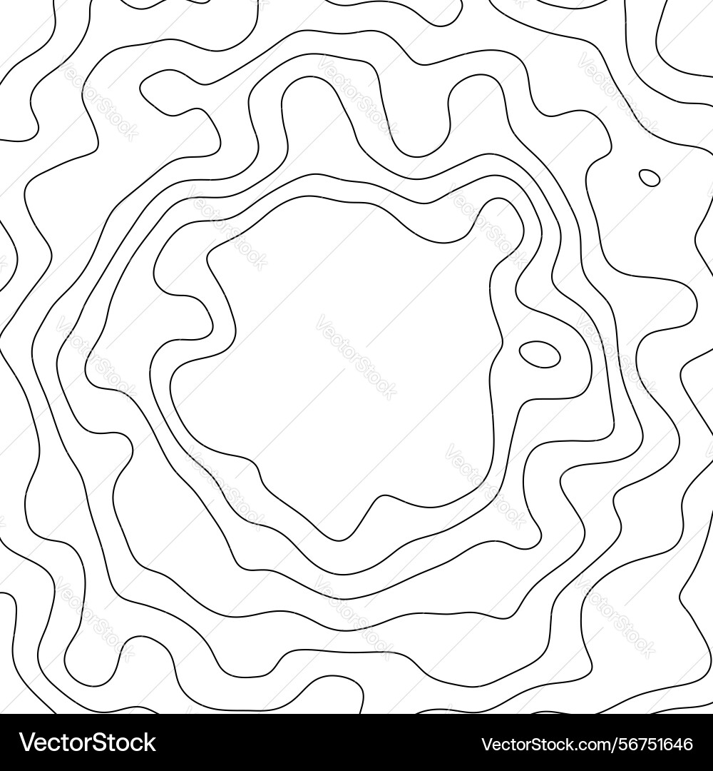 Topographic contour lines map wavy pattern vector image
