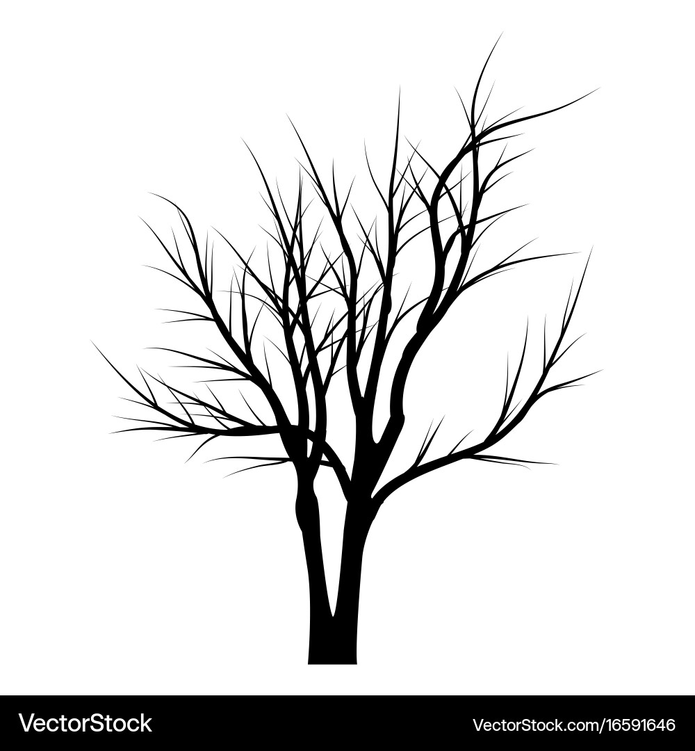 Trees with dead branches Vector Image