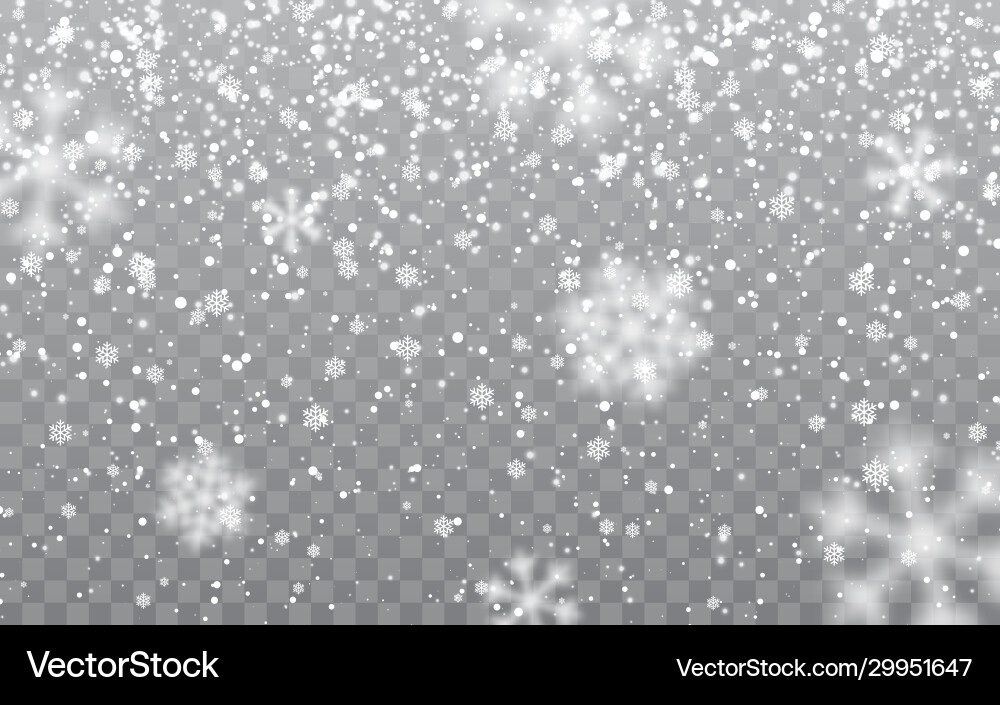 Christmas snow falling snowflakes on transparent Vector Image