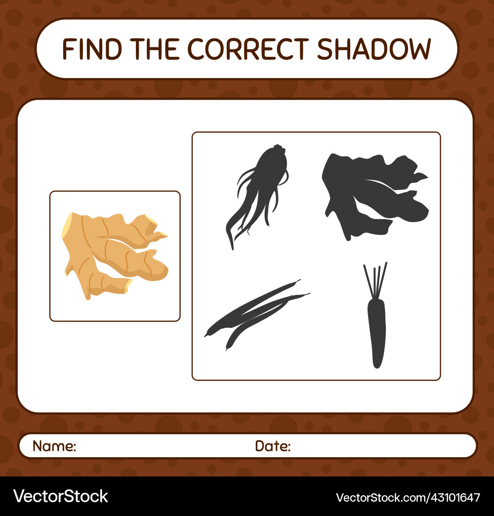 Find the correct shadows game with ginger Vector Image