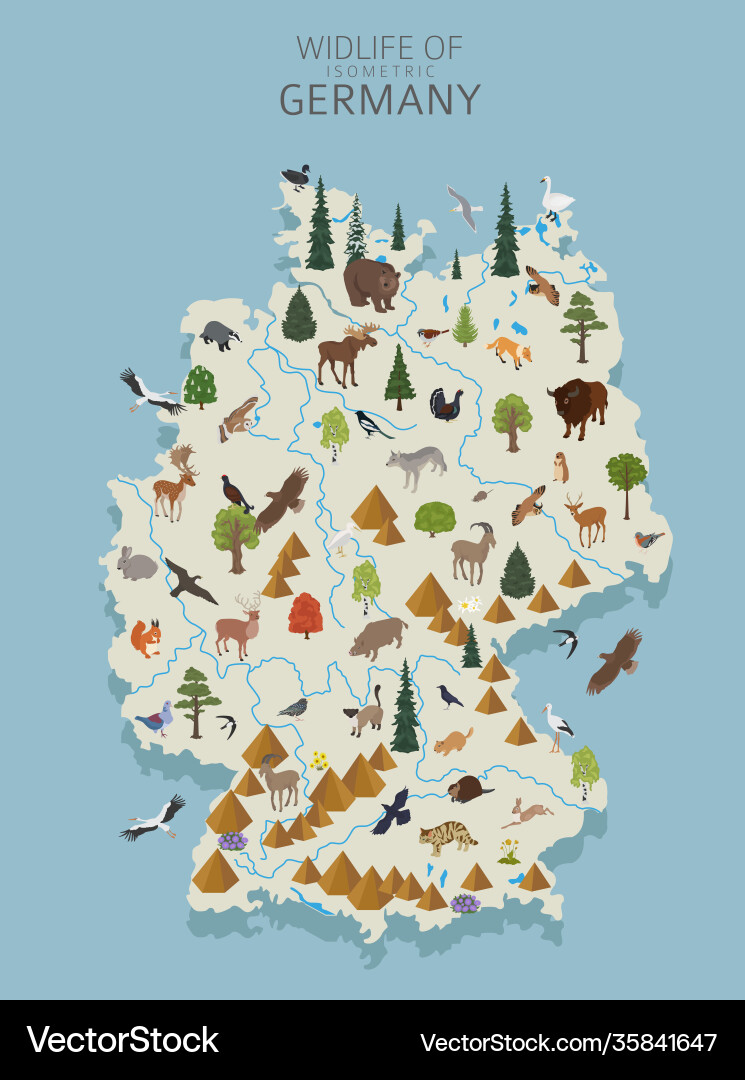 Isometric 3d design germany wildlife animals Isometric 3d design germany wildlife animals vector image