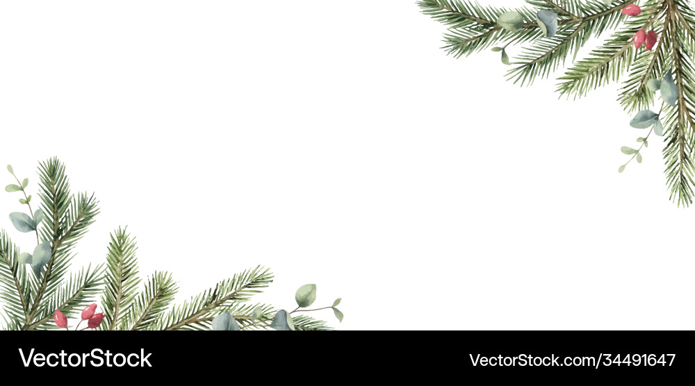 Watercolor christmas card with fir branches Watercolor christmas card with fir branches vector image