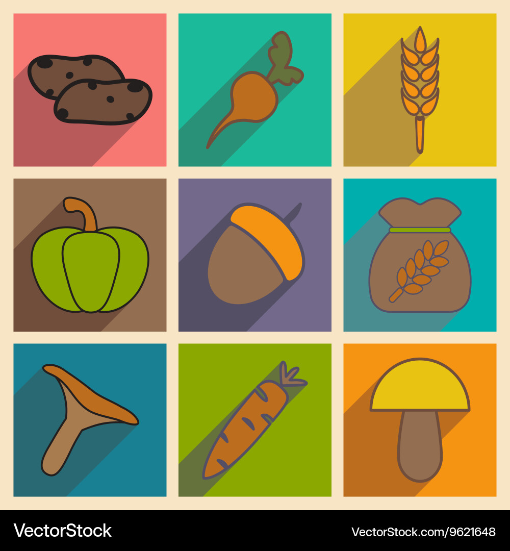 Flat with shadow concept and mobile application Vector Image