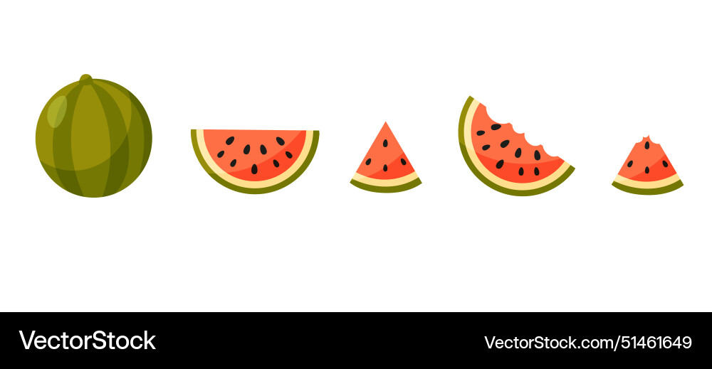 Cartoon watermelon ripe whole half Royalty Free Vector Image
