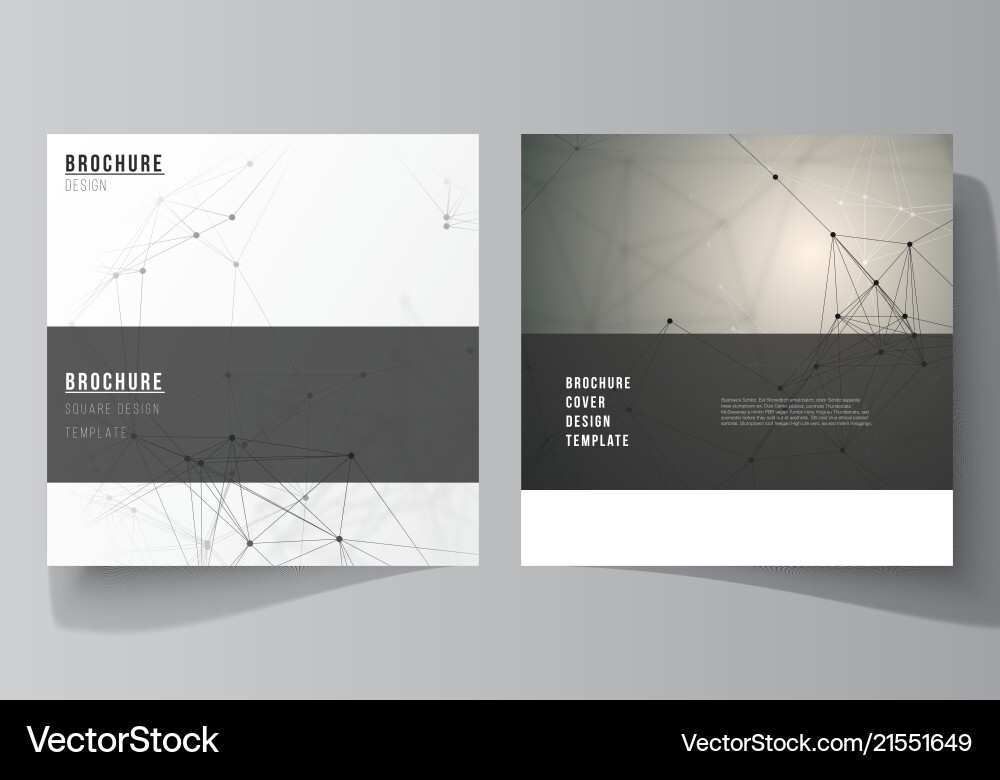 Layout of two square format covers Layout of two square format covers vector image