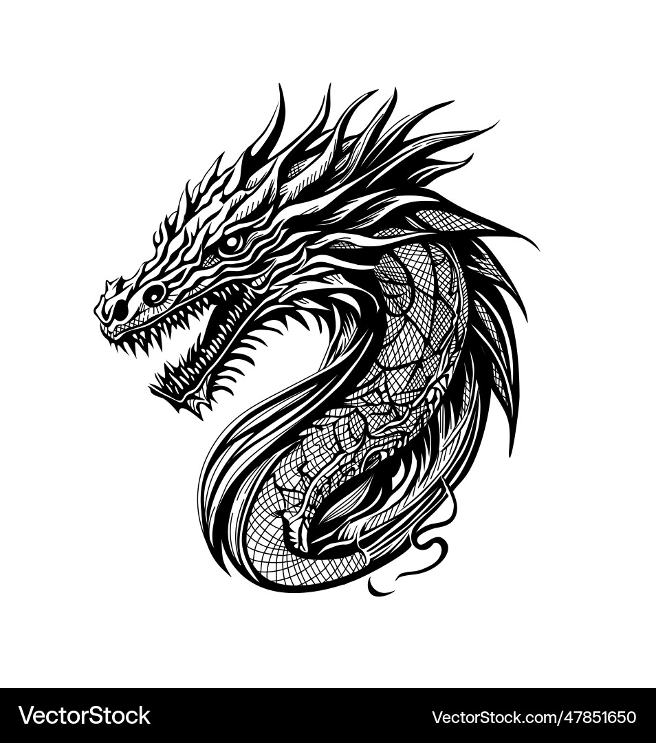 Japanischer Drachen schwarz und weiß Zeichnung Japanischer Drachen schwarz und weiß Zeichnung vektorbild