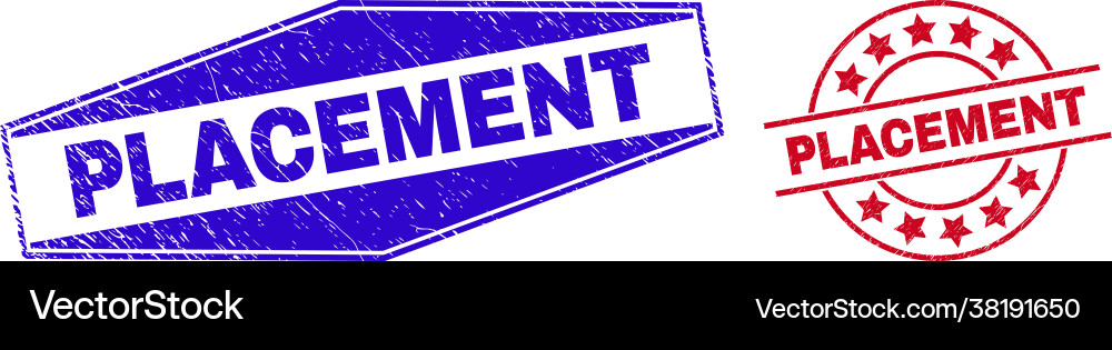 Placement distress badges in round and hexagonal Vector Image