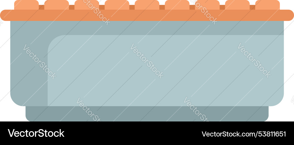 Modern empty rectangular bathtub with overflow Vector Image