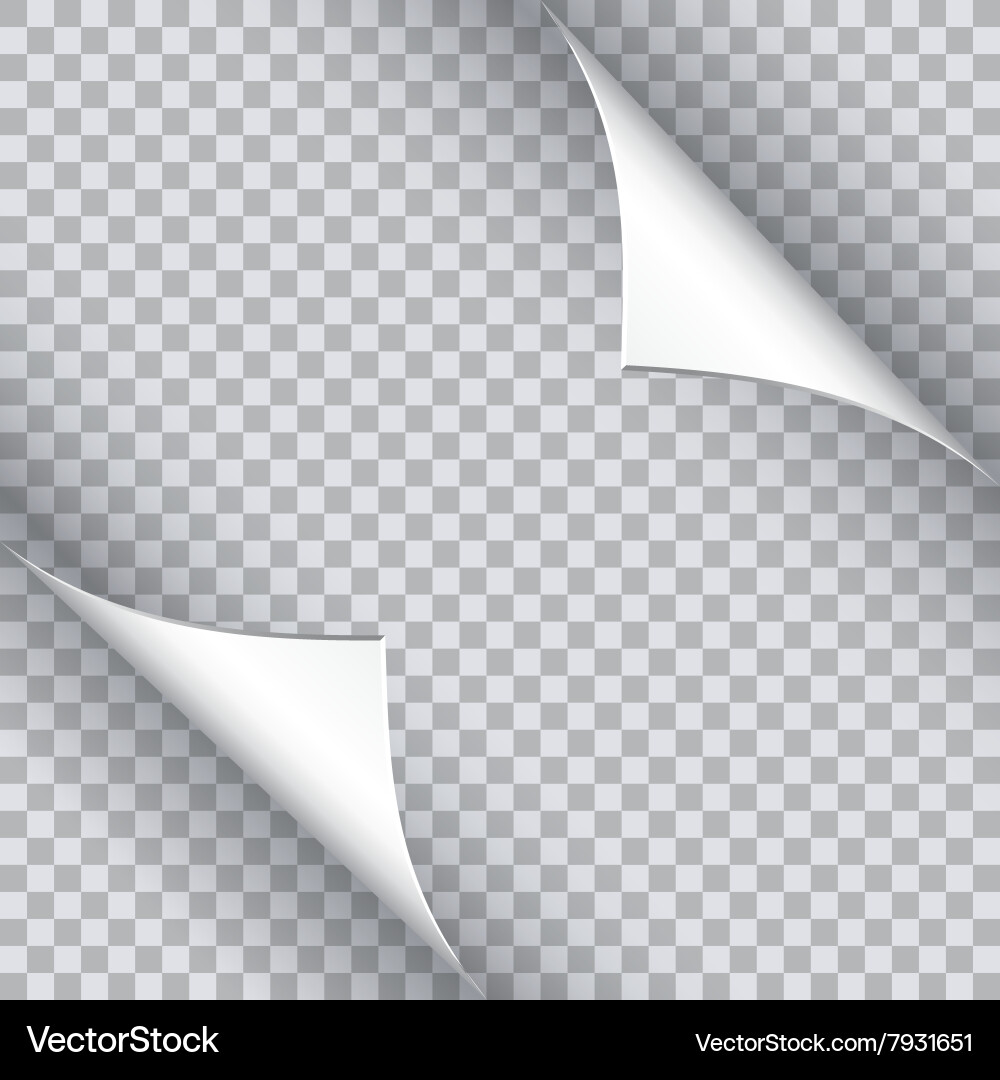 Page Curl with Paper Edge vector image