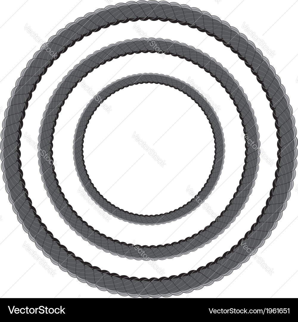 Rope in different sizes2 vector image