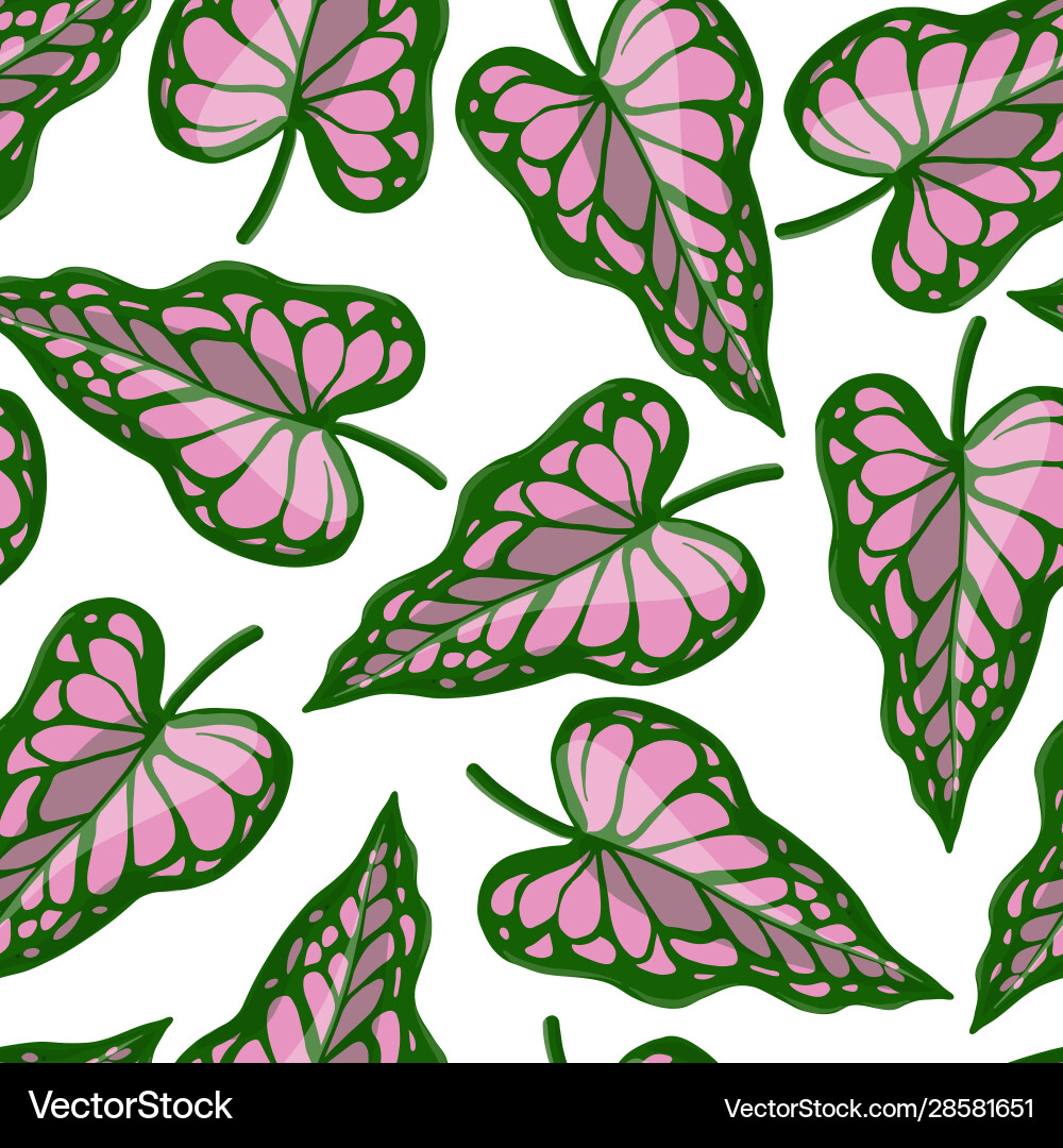 Tropical Caladium Leaf Pattern Vector Image