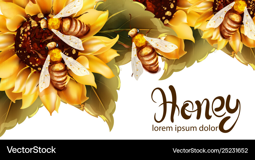 Bees making honey from sunflower watercolor Bees making honey from sunflower watercolor vector image
