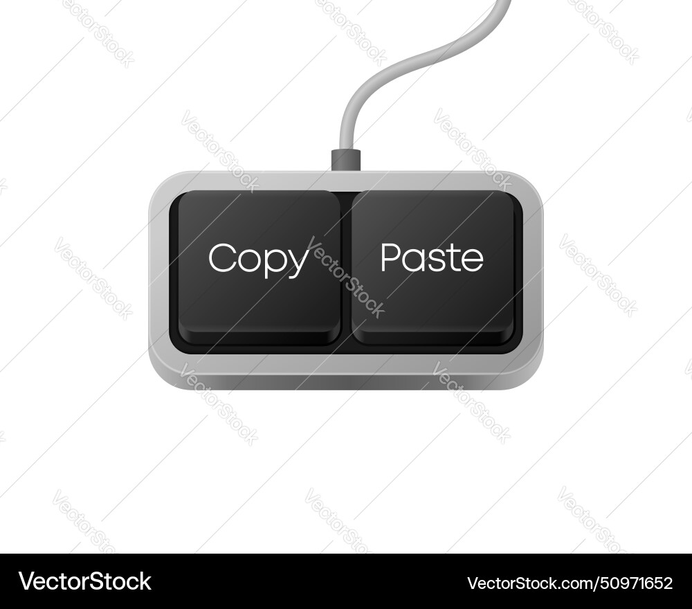 Copy paste button combination computer keyboard Copy paste button combination computer keyboard vector image