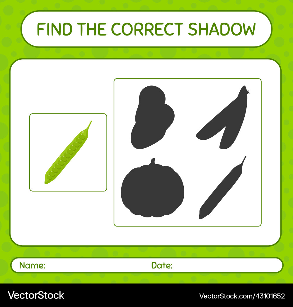 Find the correct shadows game with petai Find the correct shadows game with petai Vector Image
