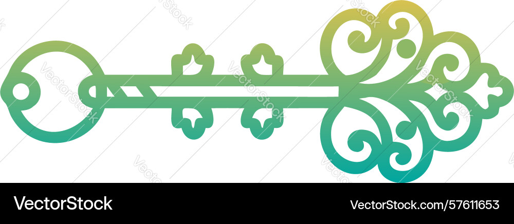 Ornate skeleton key with intricate pattern Vector Image