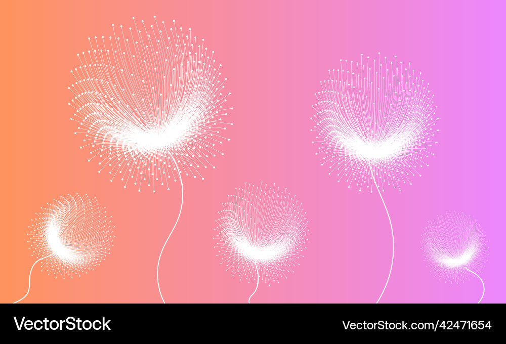 Dandelion abstract template for background Dandelion abstract template for background vector image