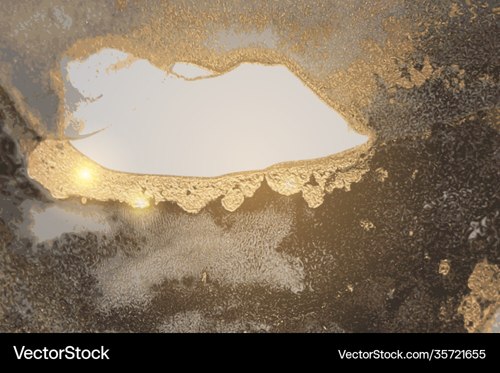 Grey and gold pattern with texture geode Grey and gold pattern with texture geode vector image