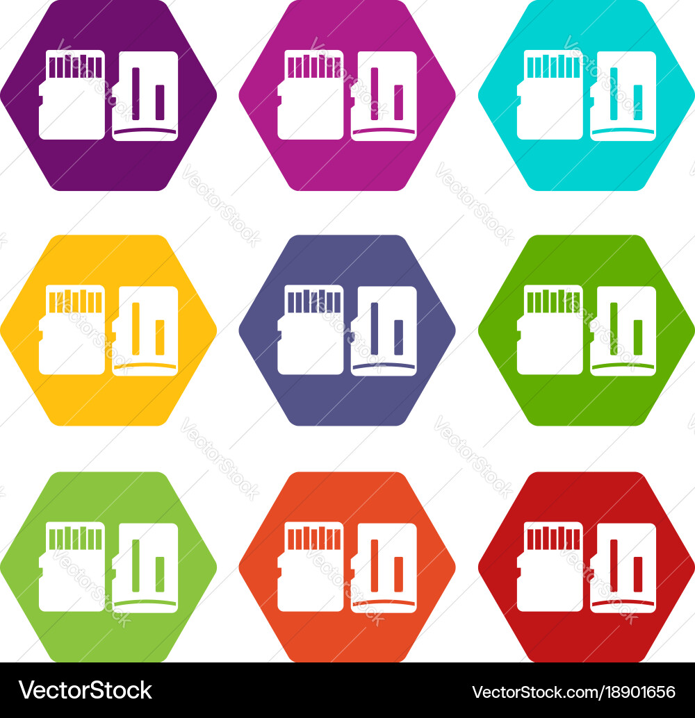Both sides of sd memory card icon set color Vector Image