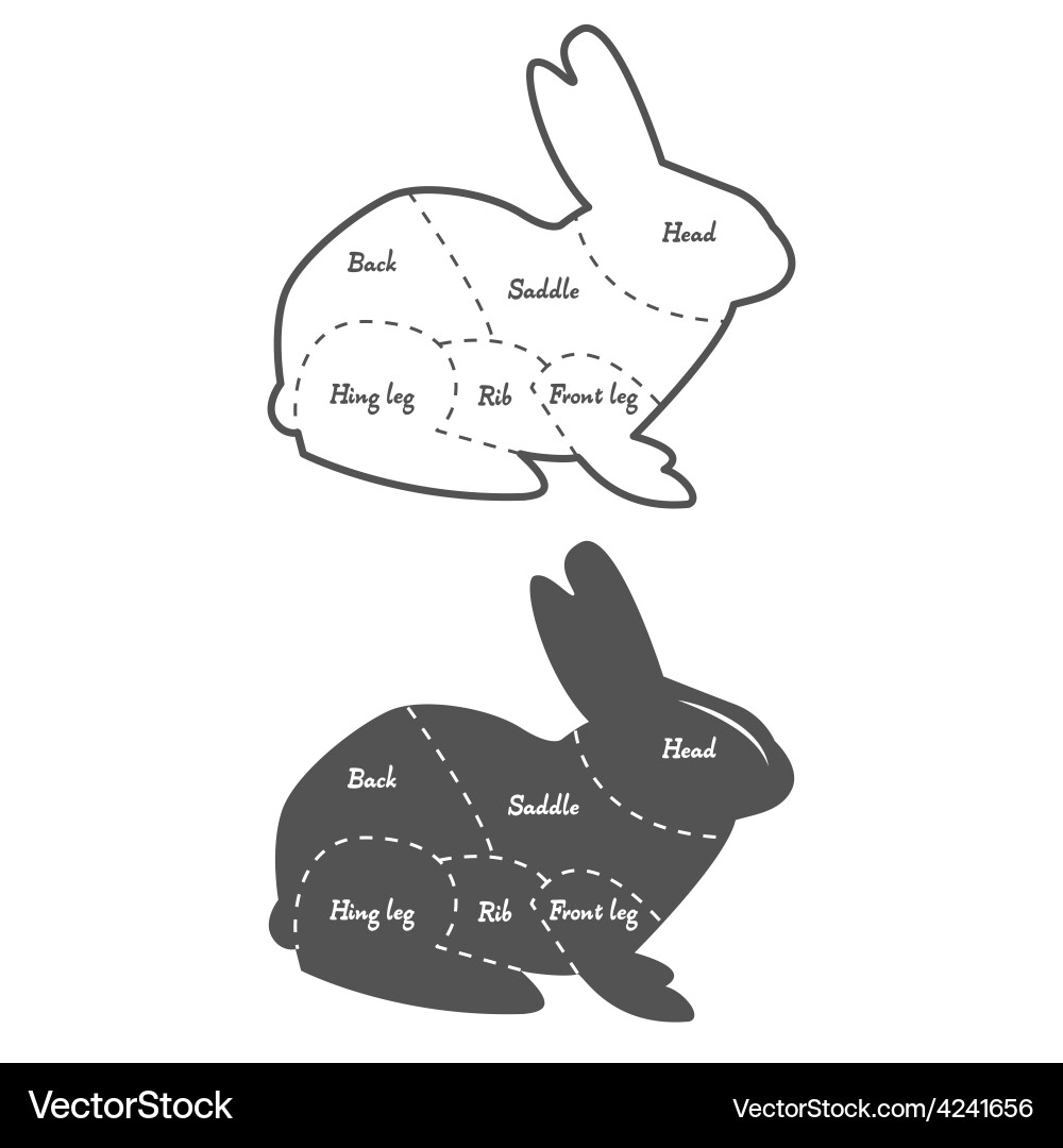 Rabbit Cutting Guide - Vintage Diagram – Royalty-Free Vector