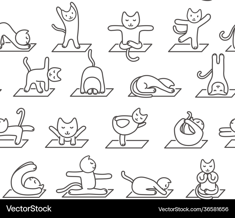 Seamless pattern a cat doing yoga exercises Seamless pattern a cat doing yoga exercises vector image