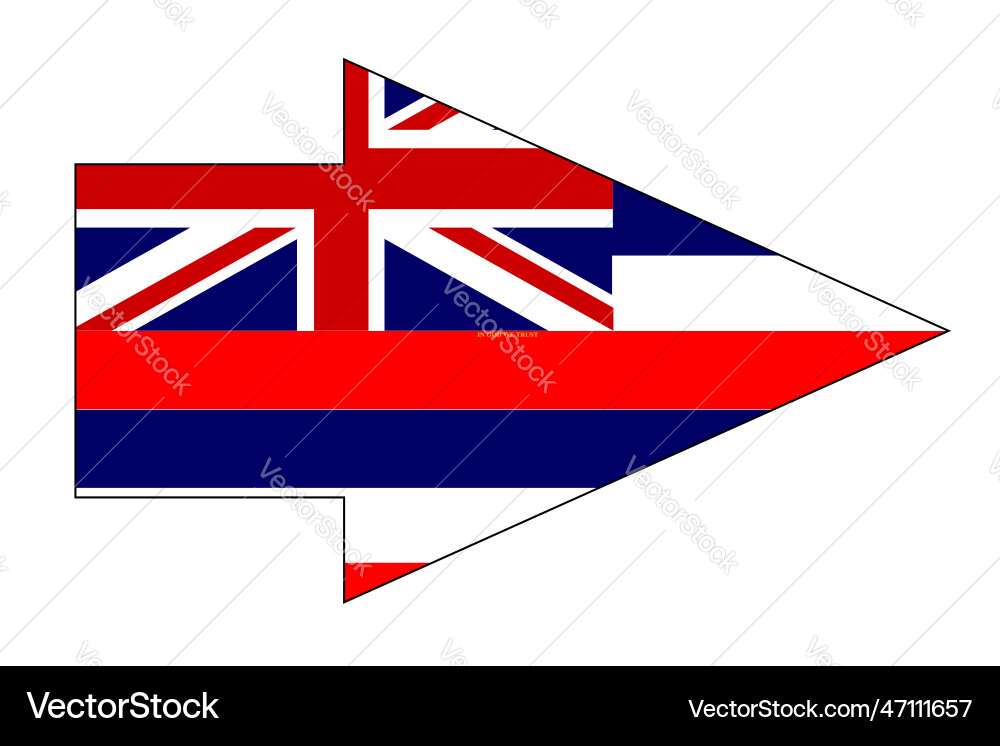 Hawaii state flag arrow pointer vector image