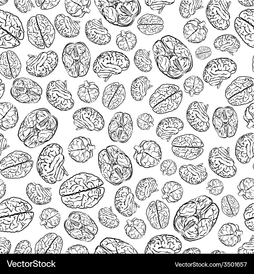 Mess of brains from different sides outline icons vector image