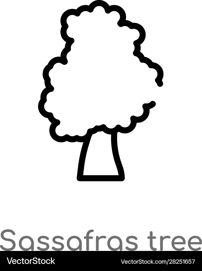 Outline sassafras tree icon isolated black simple Outline sassafras tree icon isolated black simple vector image