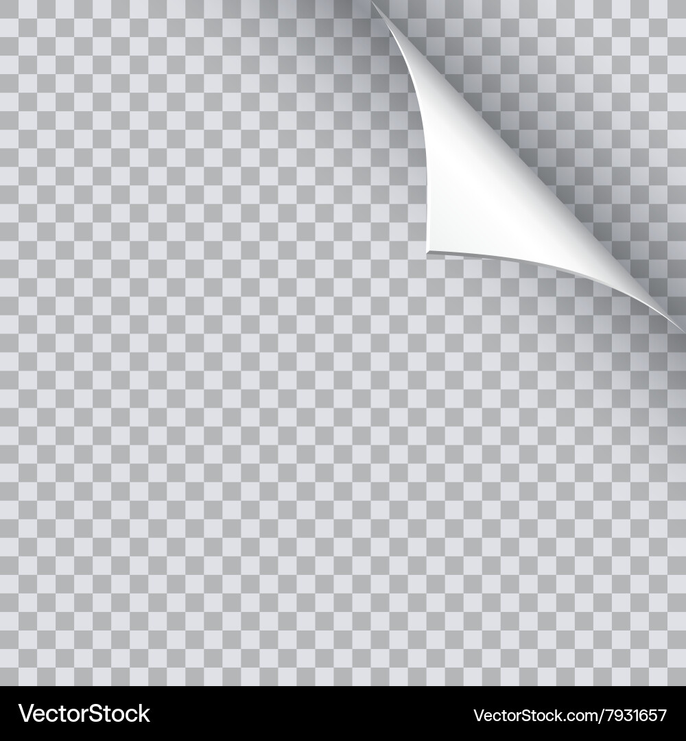 Paper Curl with Shadow vector image