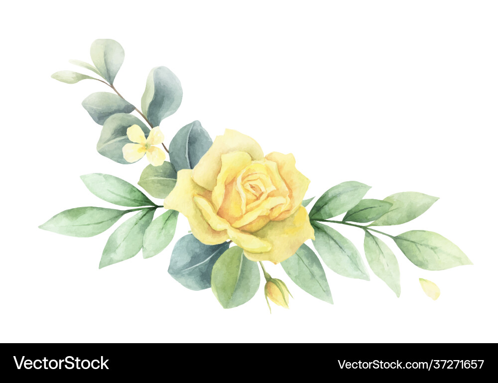 Watercolor wreath green branches Watercolor wreath green branches vector image