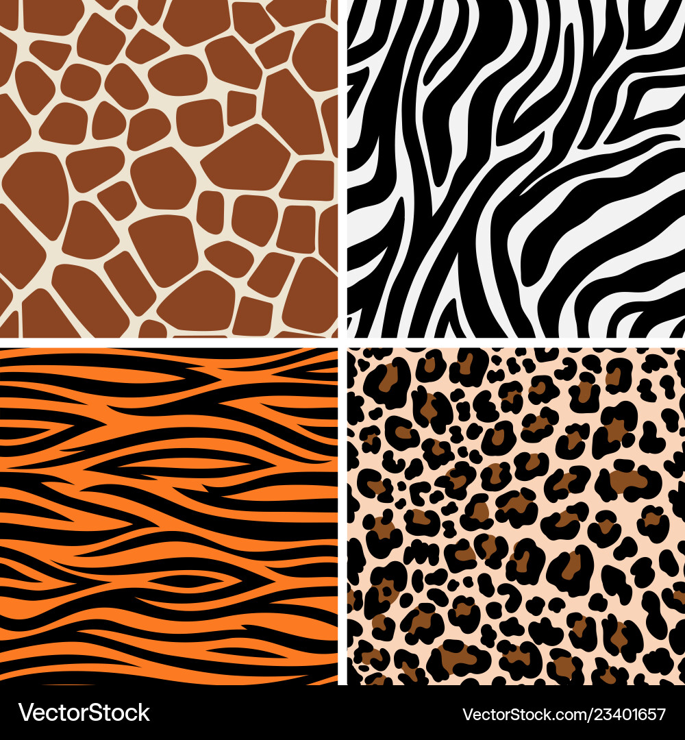 Zebra, Giraffe & Leopard Patterns vector image