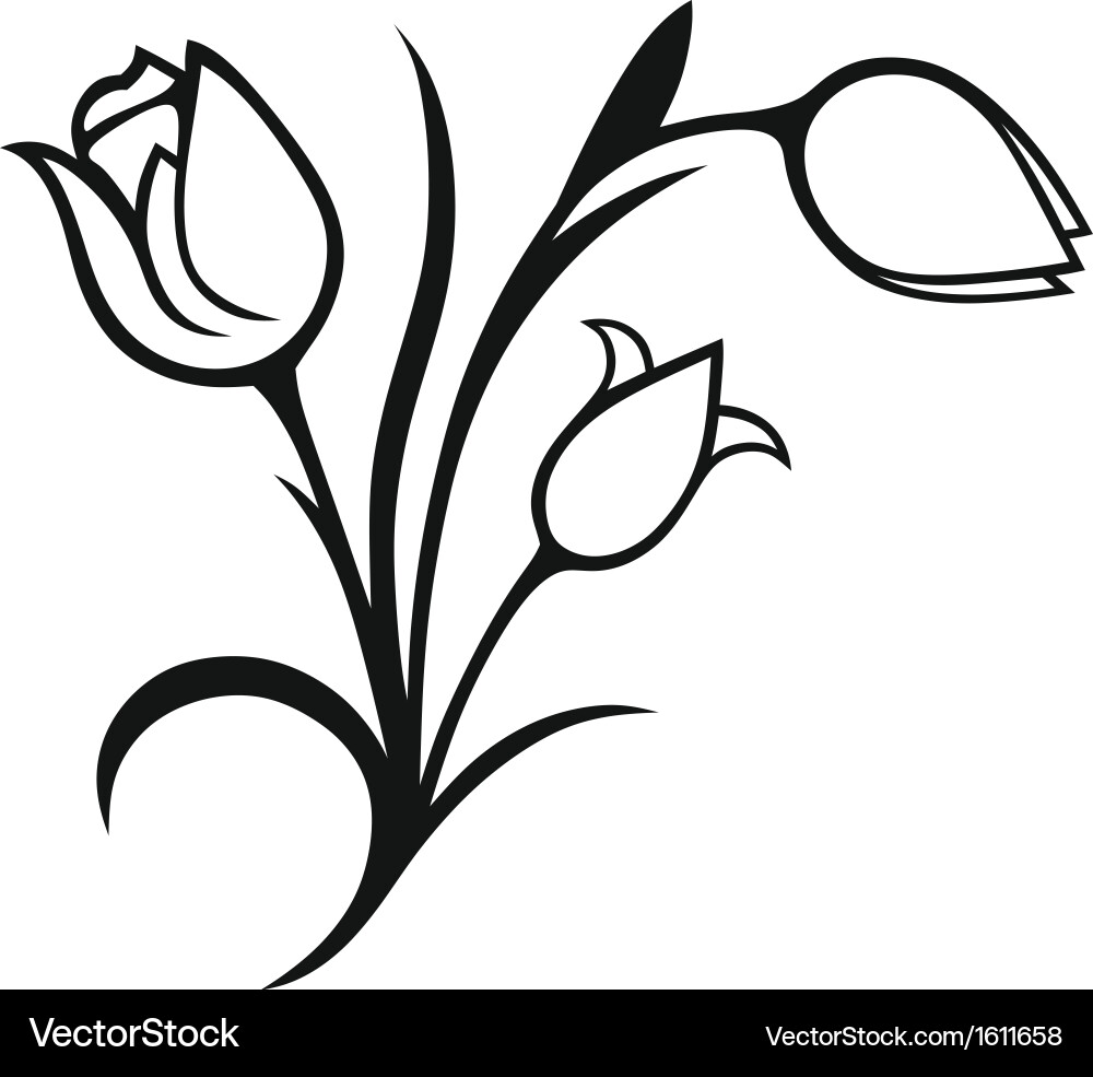 Bouquet of tulips Royalty Free Vector Image - VectorStock